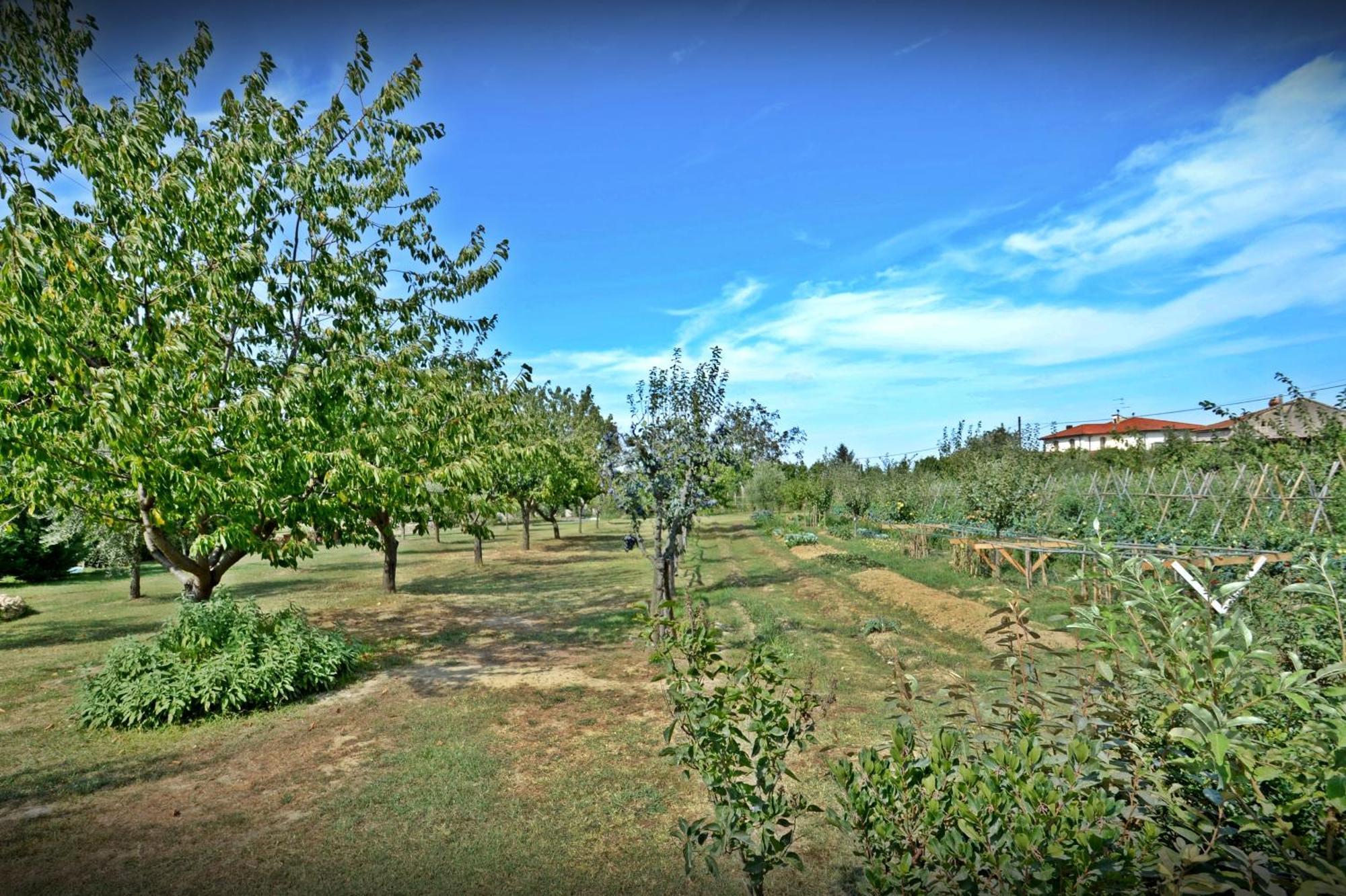 Cevoli Country Resort Lari Eksteriør bilde